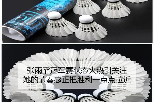 张雨霏冠军赛状态火热引关注 她的节奏感正把胜利一点点拉近